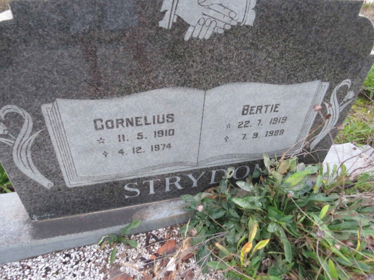 STRYDOM Cornelius 1910-1974 &amp; Bertie 1919-1988