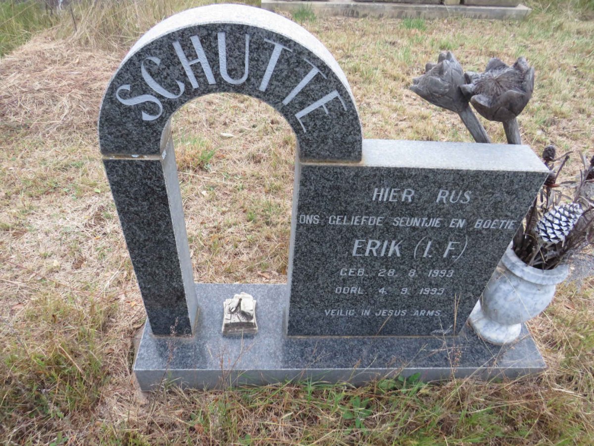 SCHUTTE I.F. 1993-1993