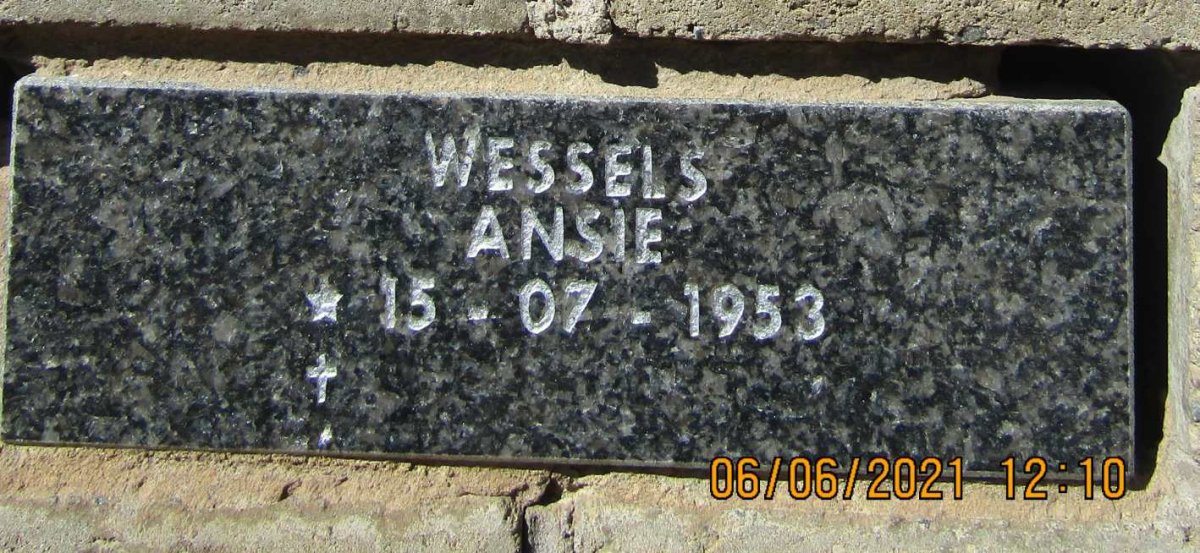 WESSELS Ansie 1953-