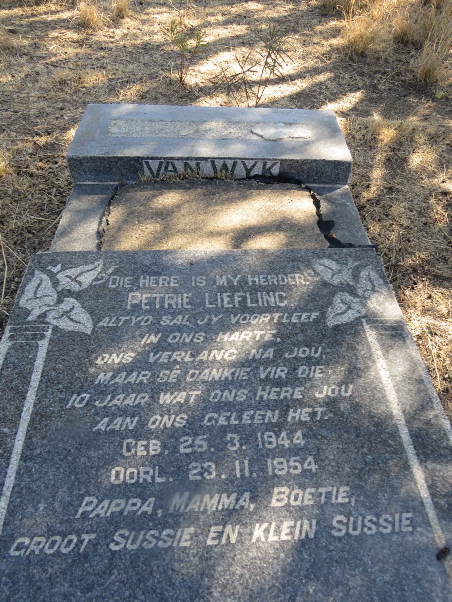WYK Petrie, van 1944-1954