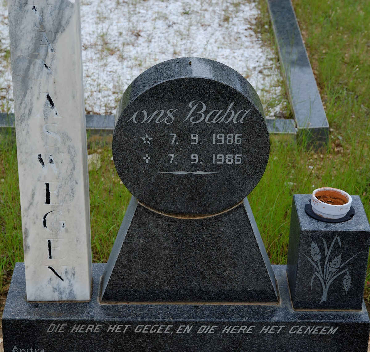 ASWEGEN Baba , van 1986-1986