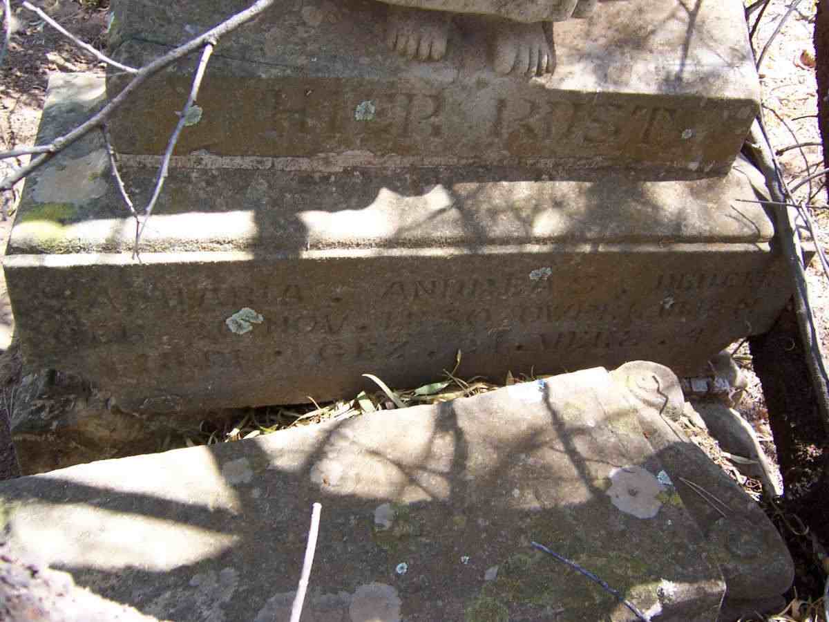 BEER Zacharia  Andreas, de 1850-