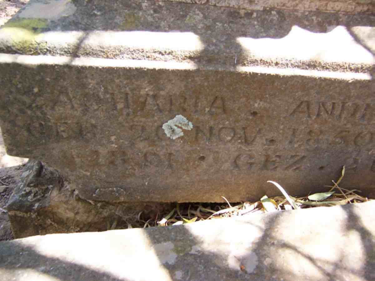 BEER Zacharia  Andreas, de 1850-