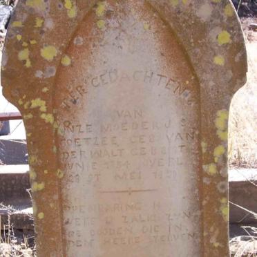 COETZEE R.J.S. nee VAN DER WALT 1884-1920