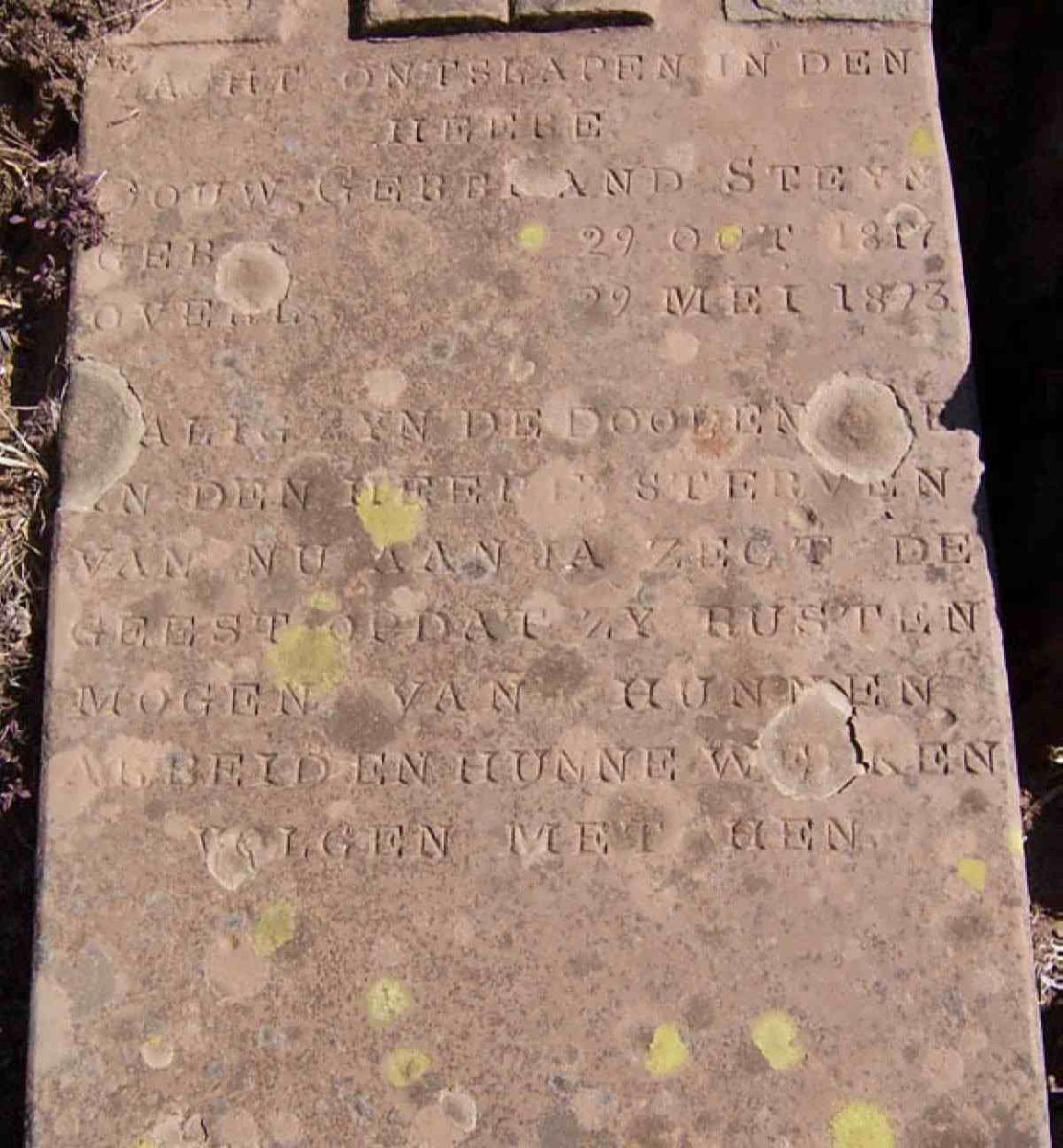 STEYN Douw Gerbrand 18?7-1873