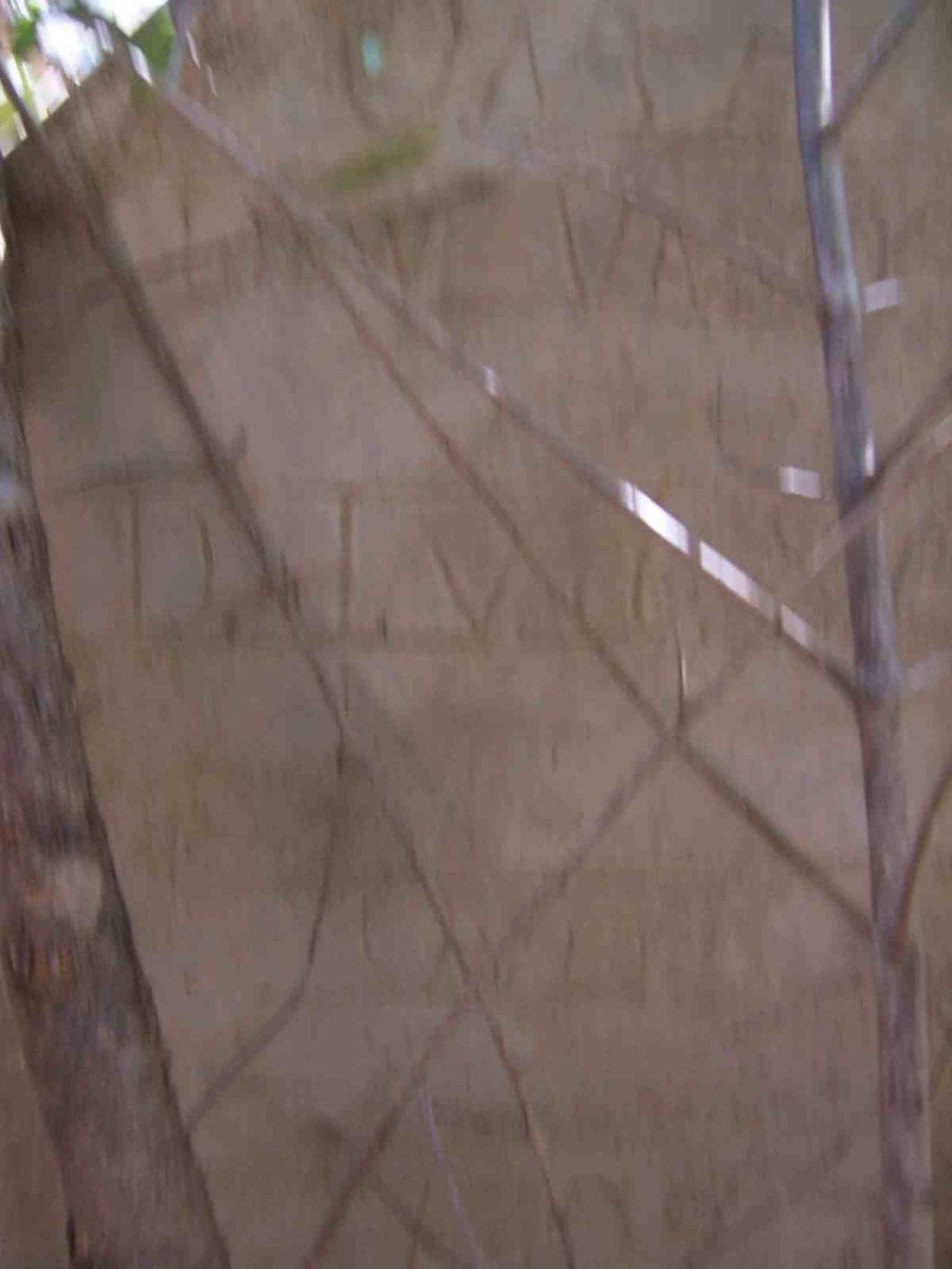 ?? D.L., van