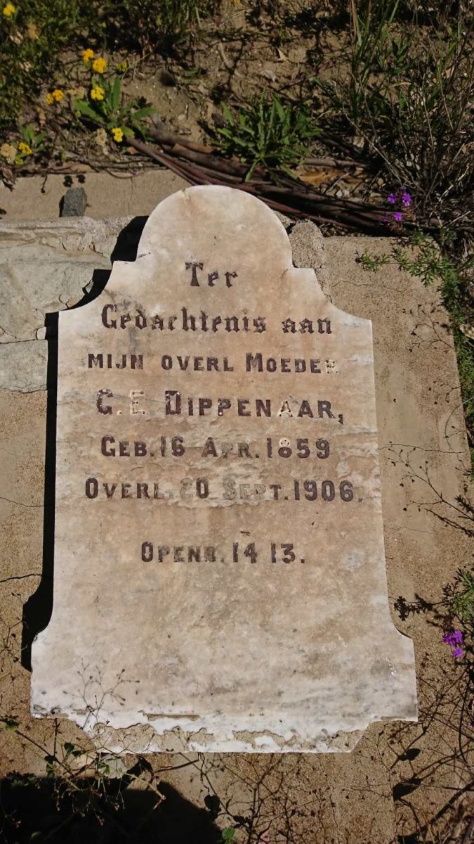 DIPPENAAR G.E. 1859-1906