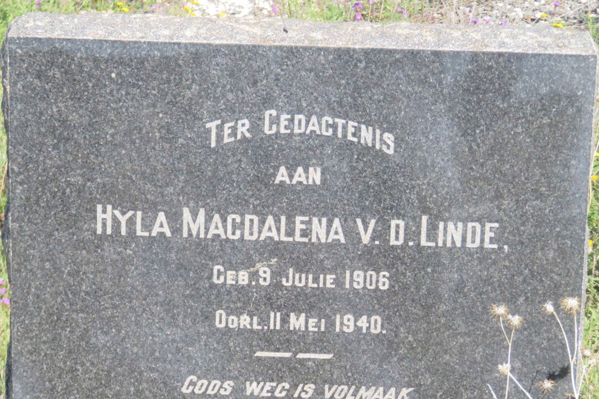 LINDE Hyla Magdalena, v.d. 1906-1940