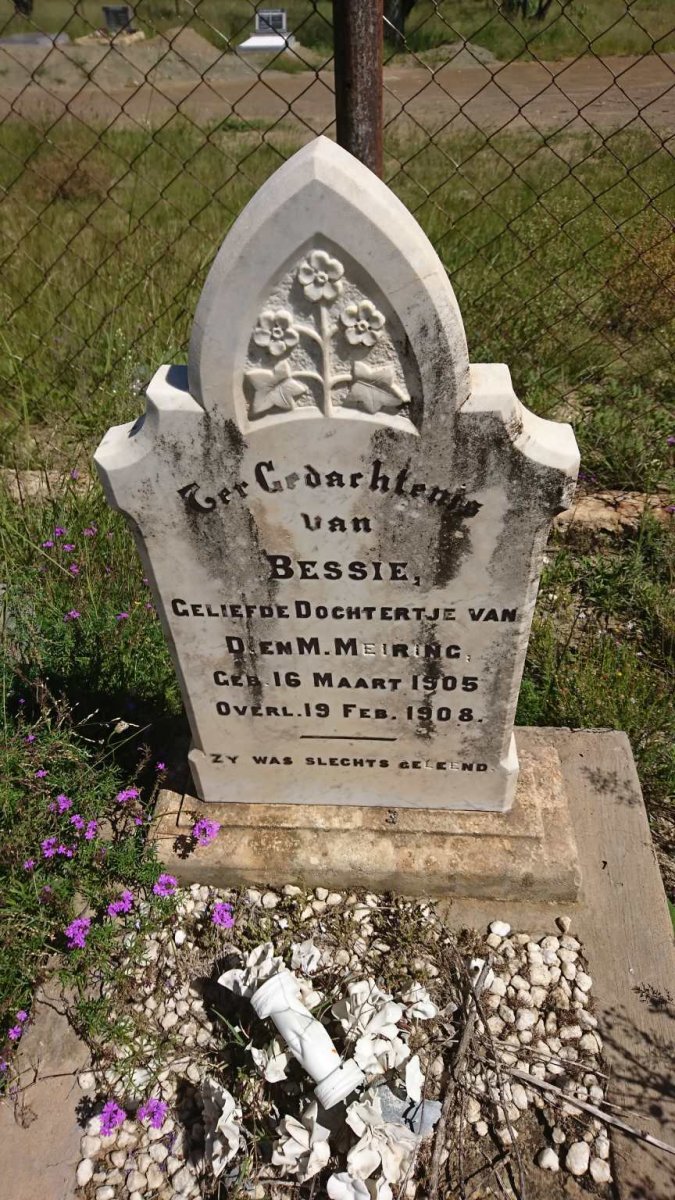 MEIRING Bessie 1905-1908