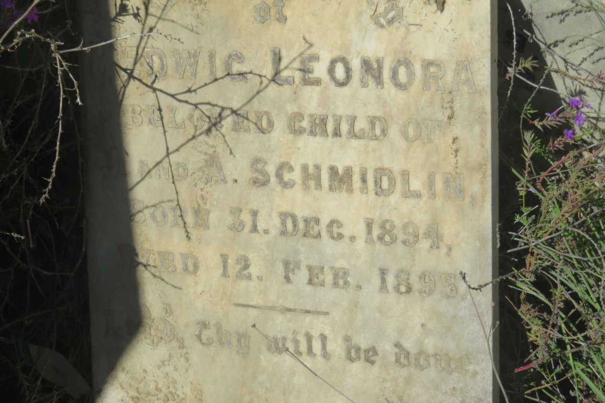 SCHMIDLIN Hedwig Leonora 1894-1895
