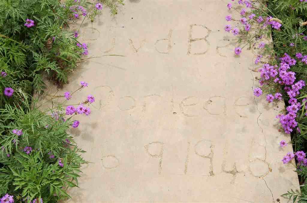 BERG P.J., v.d.  -1946