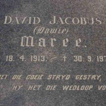 MAREE David Jacobus 1913-1975