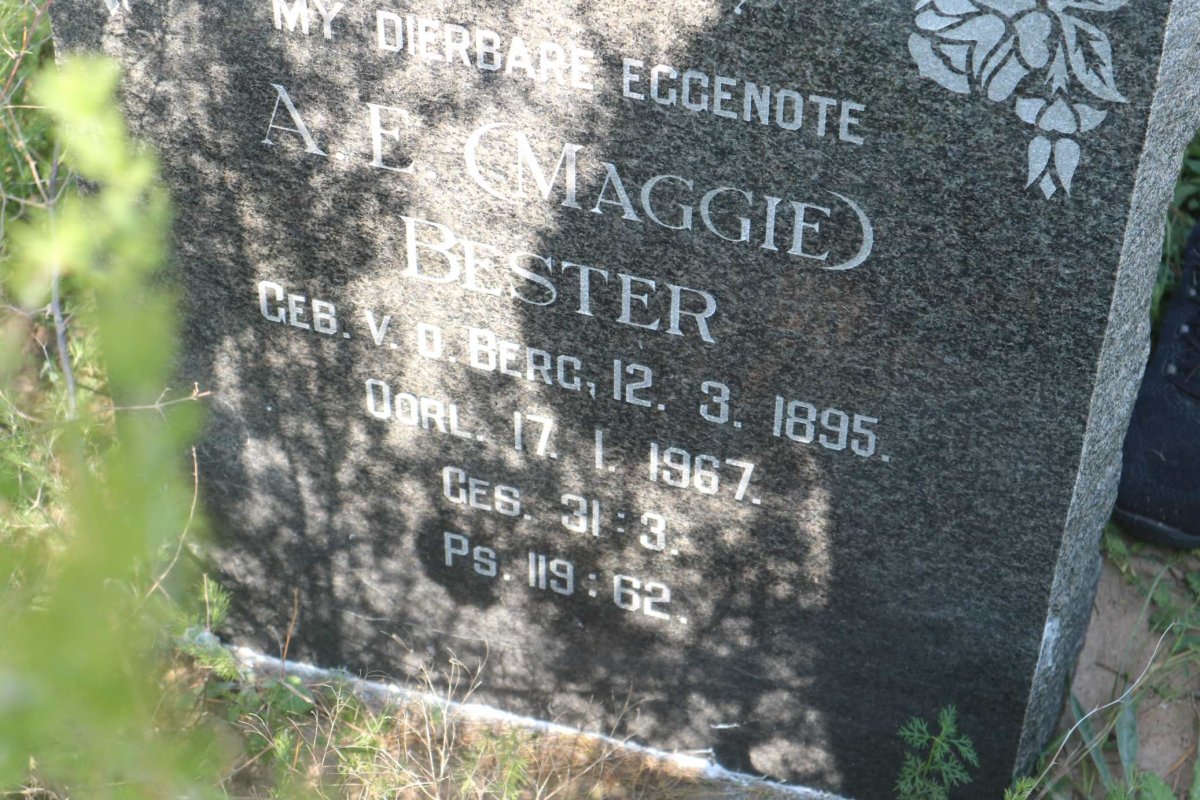 BESTER A.E. nee V.D. BERG 1895-1967