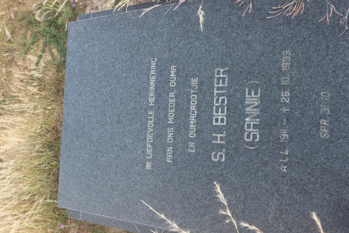 BESTER S.H. 1911-1999