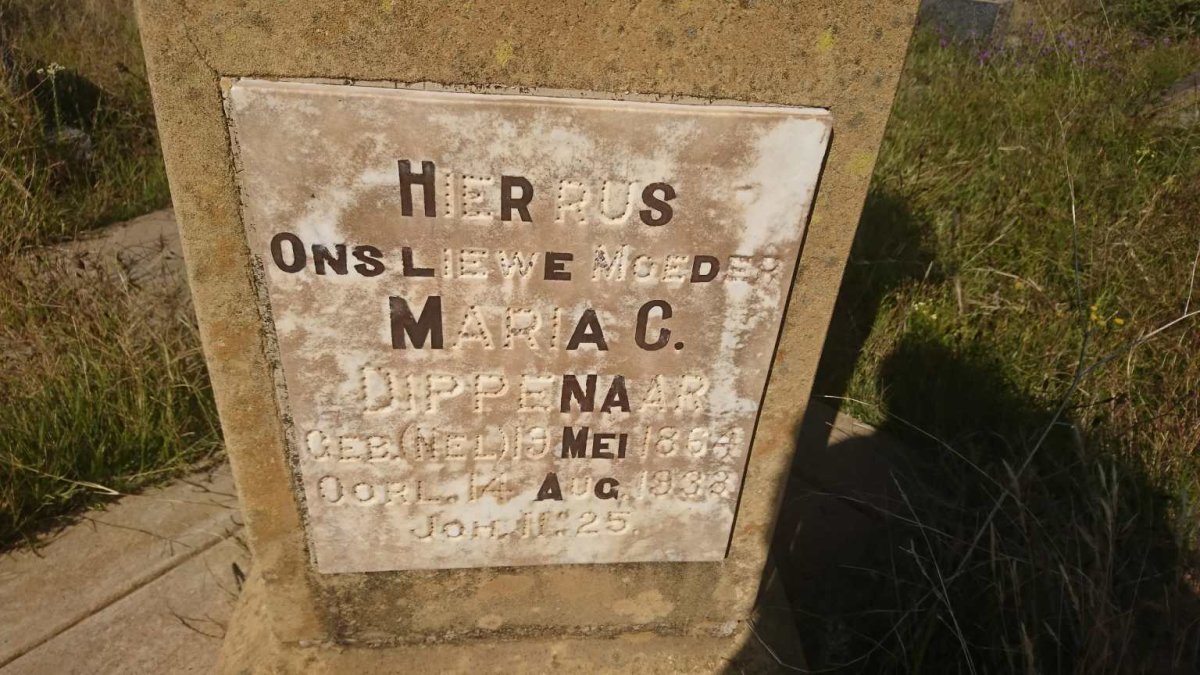 DIPPENAAR Maria C. nee NEL 1864-1938