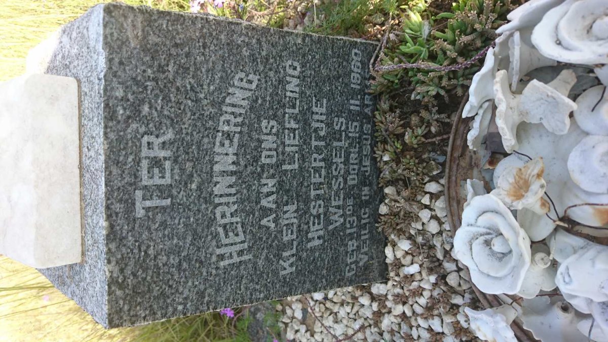 WESSELS Hestertjie 1960-1960