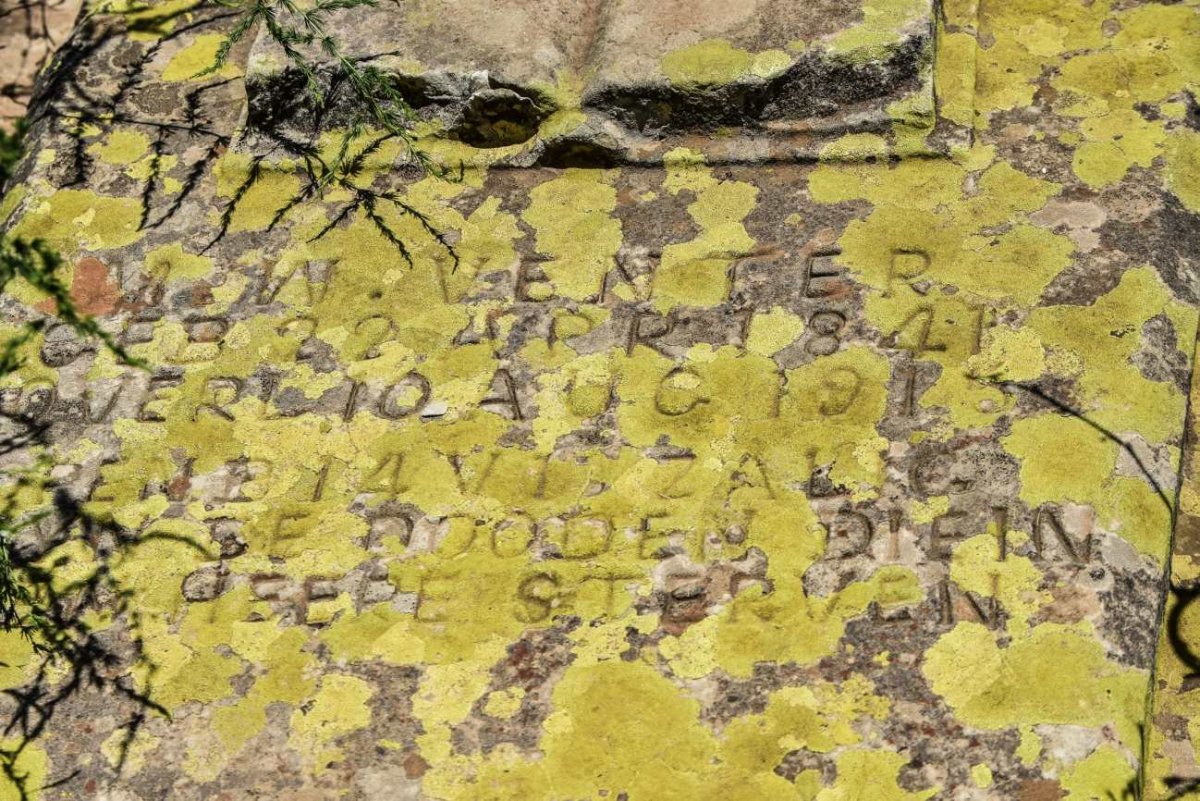 VENTER M.W. 1841-1915