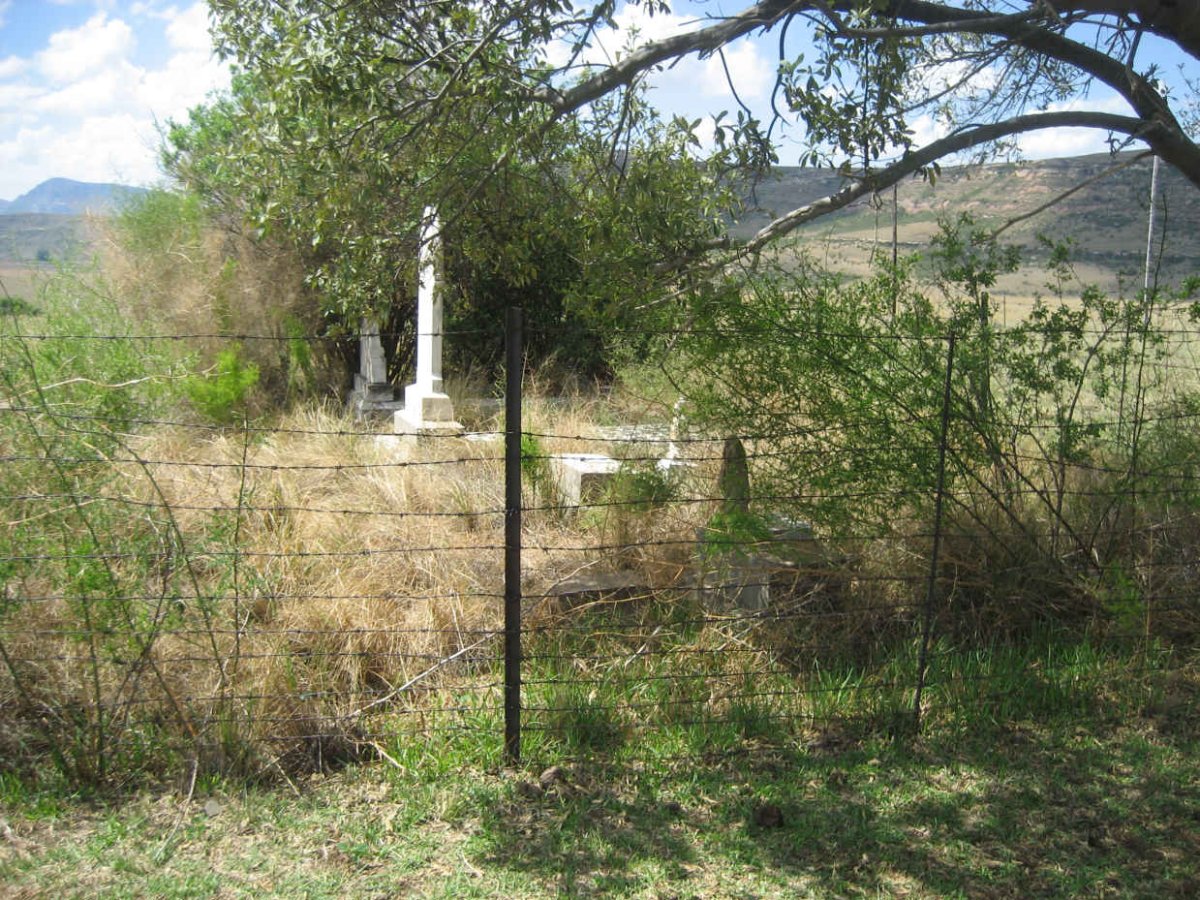 2. Overview