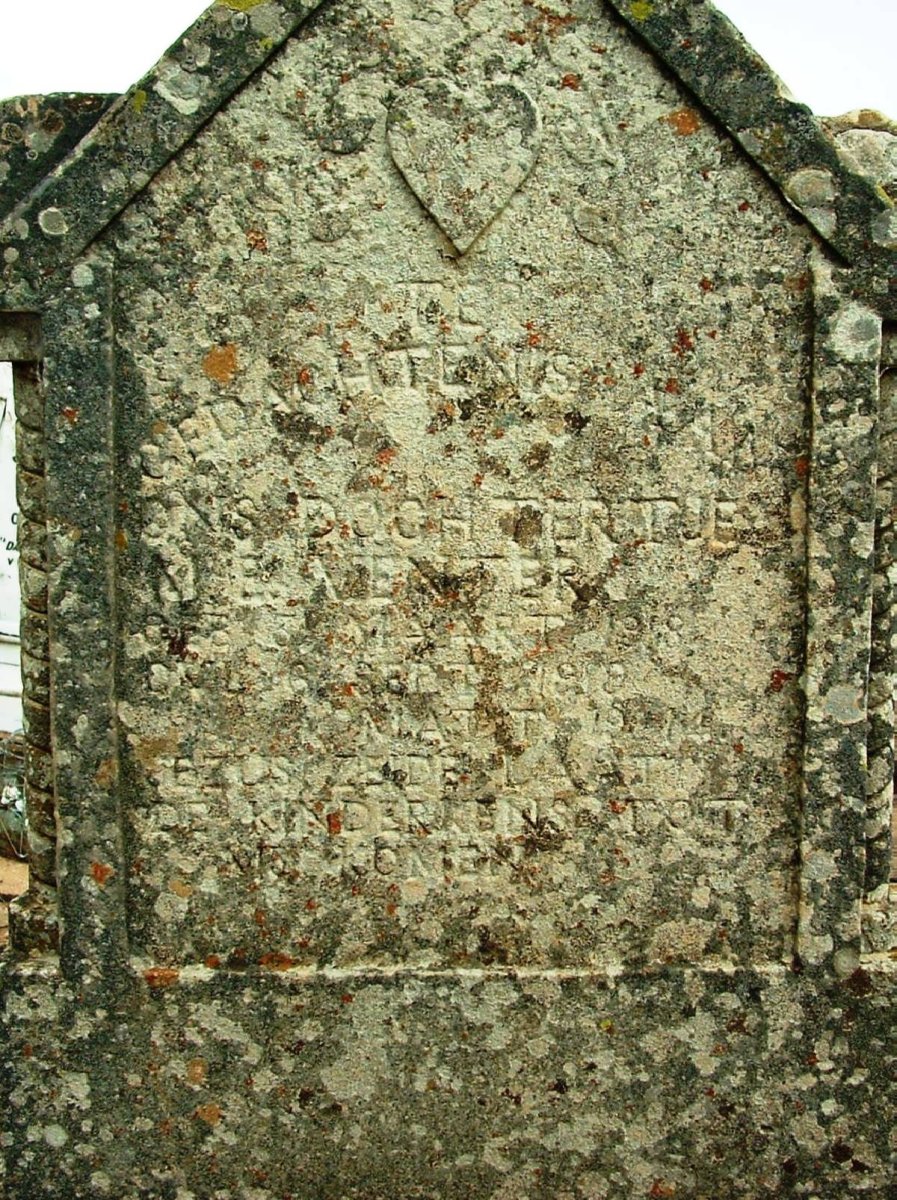 VENTER J.E. 1918-1919