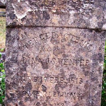 VENTER Dina J.S. 1913-1918