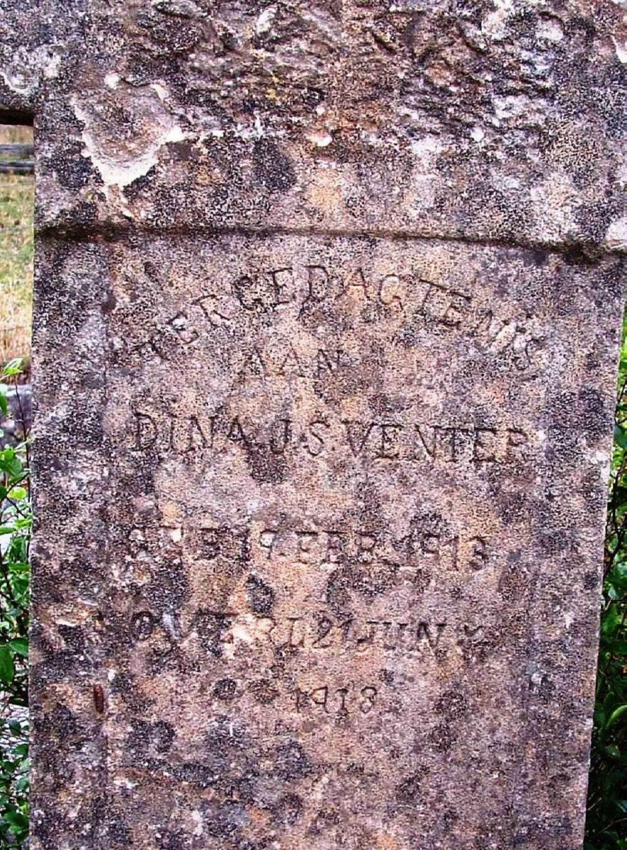 VENTER Dina J.S. 1913-1918