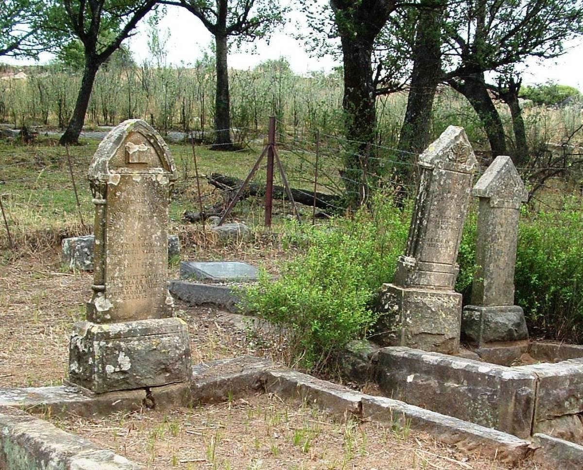 1. Overview