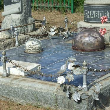 SCHABORT P.J. 1865-1942 &amp; E.A.S. BOSHOFF 1871-1925 :: SCHABORT Sibella Margaretha 1900-1902