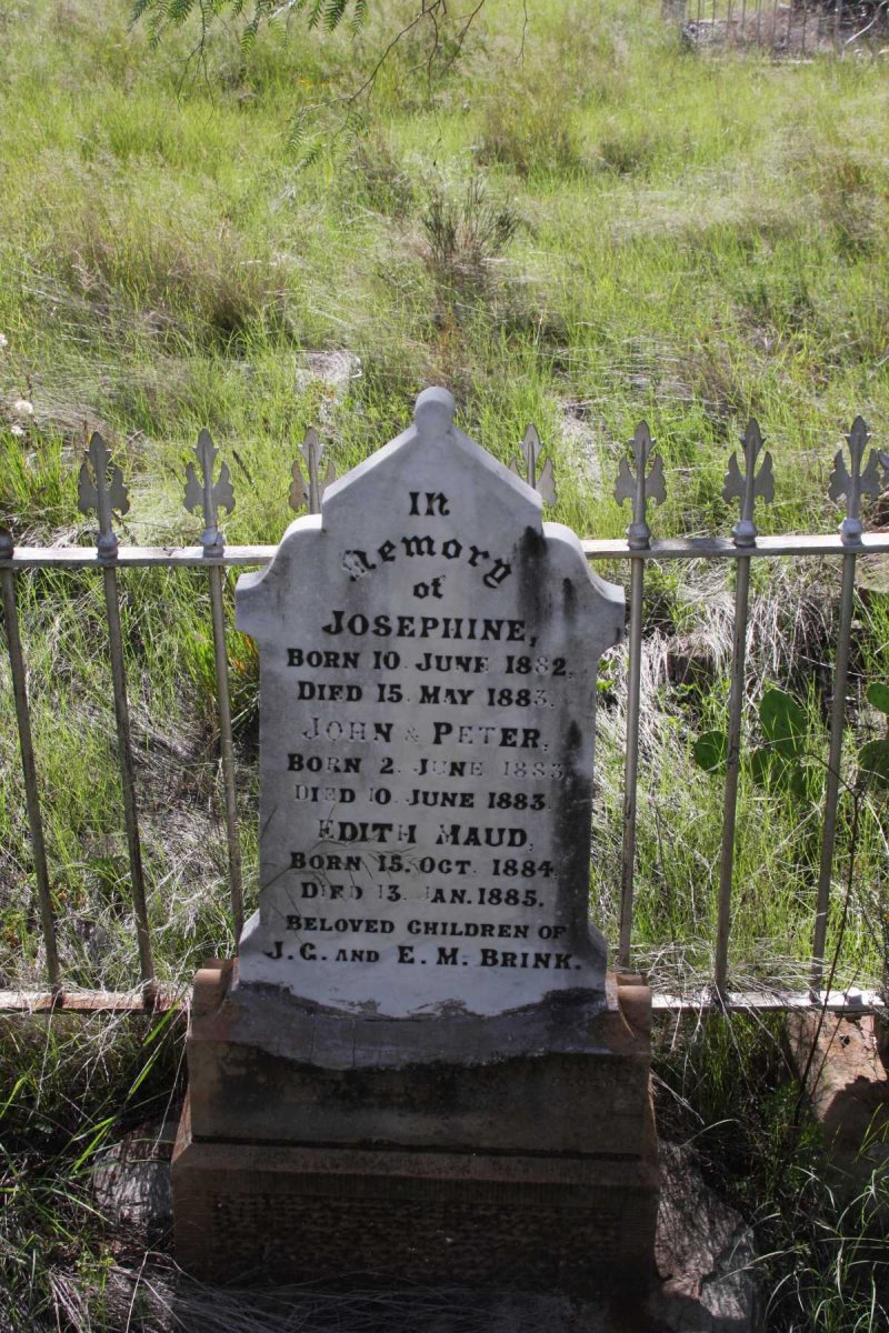 BRINK Josephine 1882-1883 :: BRINK John 1883-1883 :: BRINK Peter 1883-1883 :: BRINK Edith Maud 1884-1885