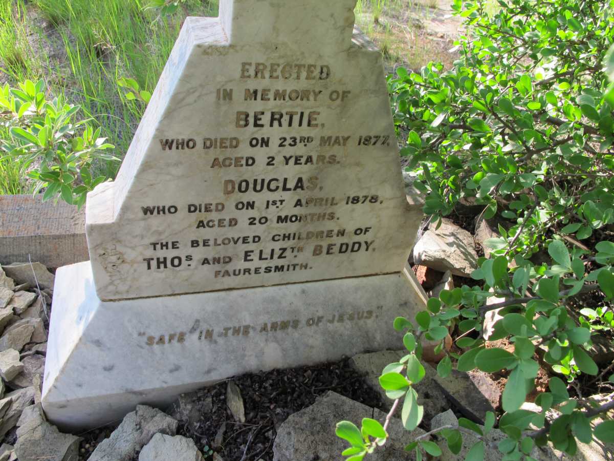 BEDDY Bertie -1877 :: BEDDY Douglas -1878