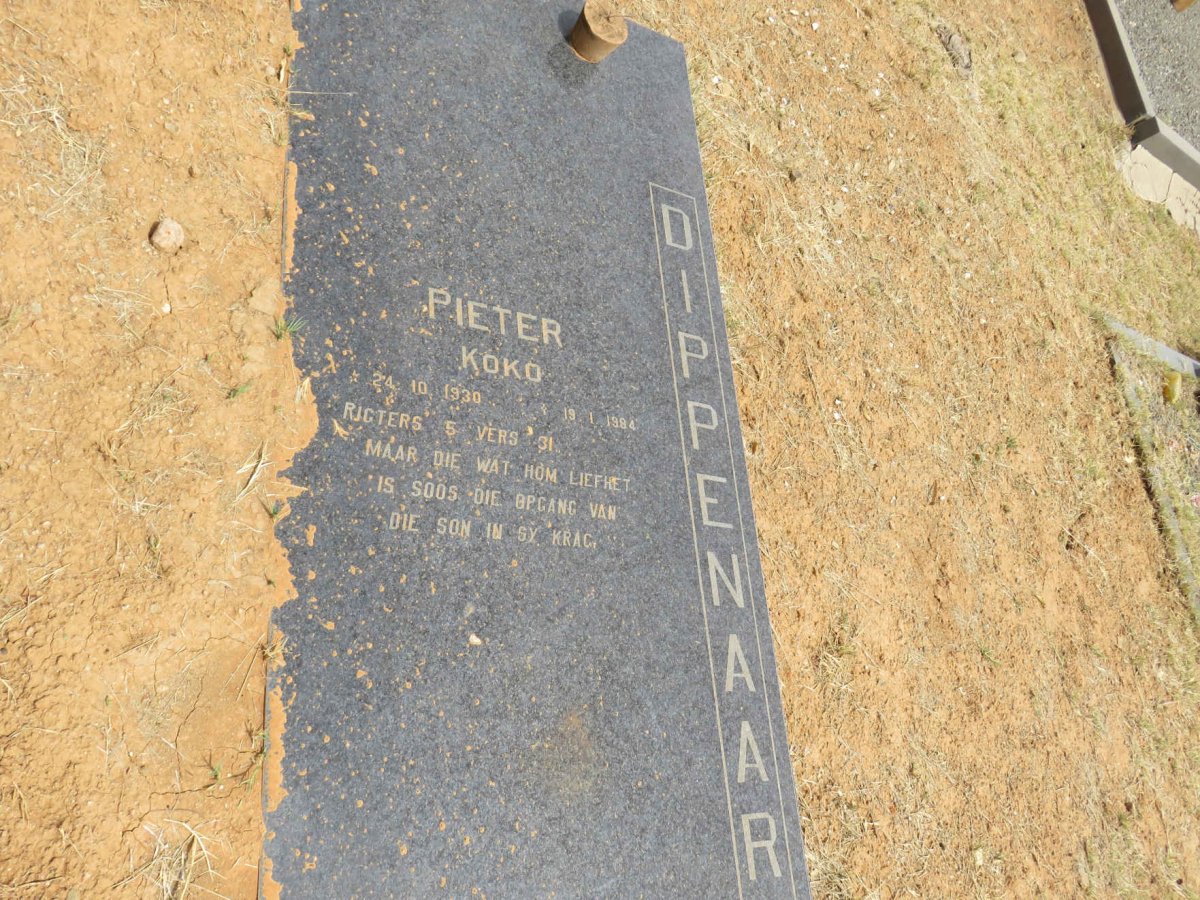DIPPENAAR Pieter 1930-1984