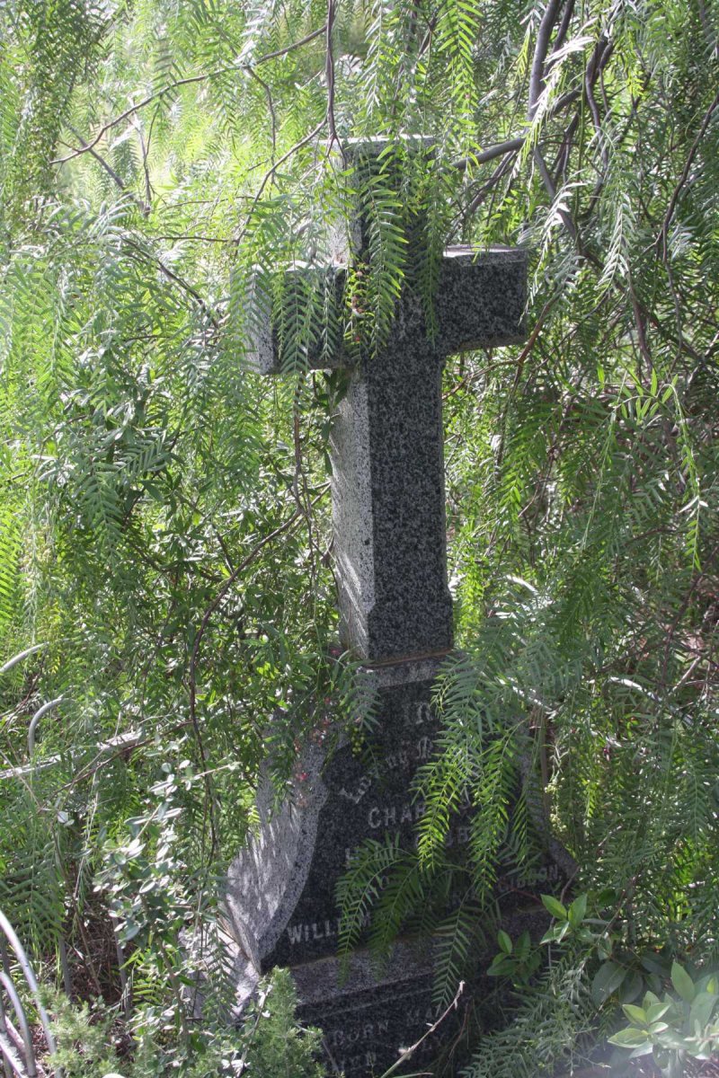 GIBBON Charles Hill 1859-1898