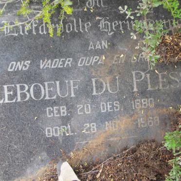 PLESSIS du :: STRYDOM