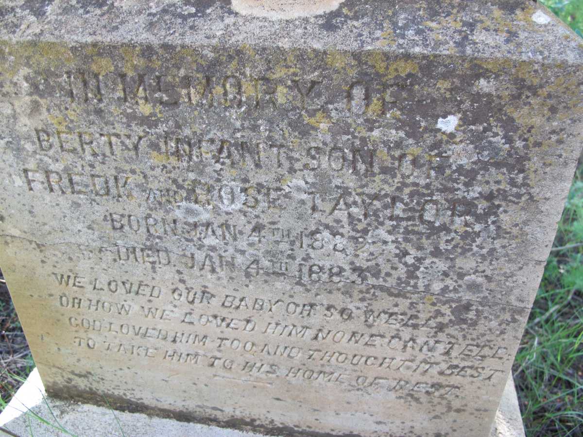 TAYLOR Berty 1882-1883