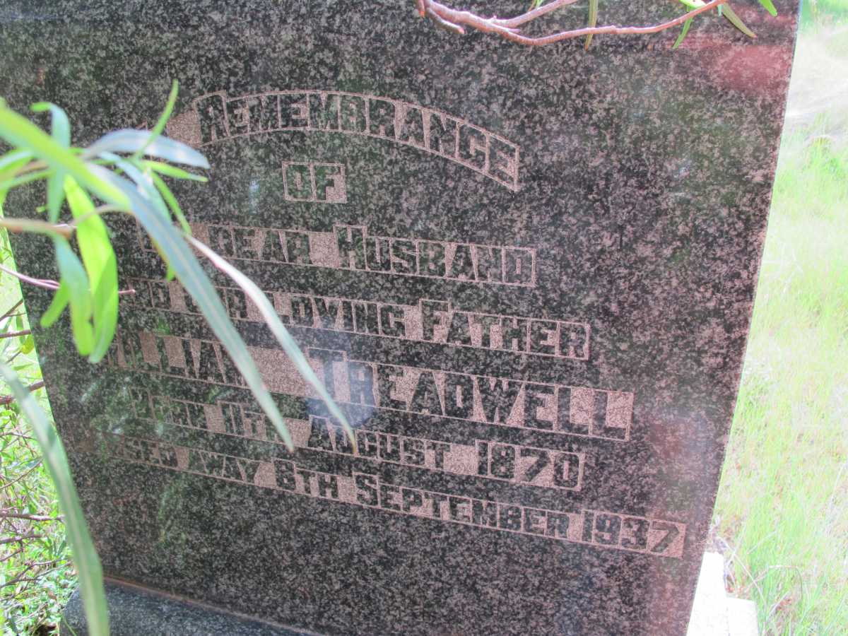 TREADWELL William 1870-1937