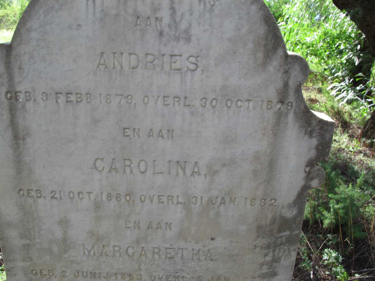 TOIT Andries, du 1879-1879 :: DU TOIT Carolina 1880-1882