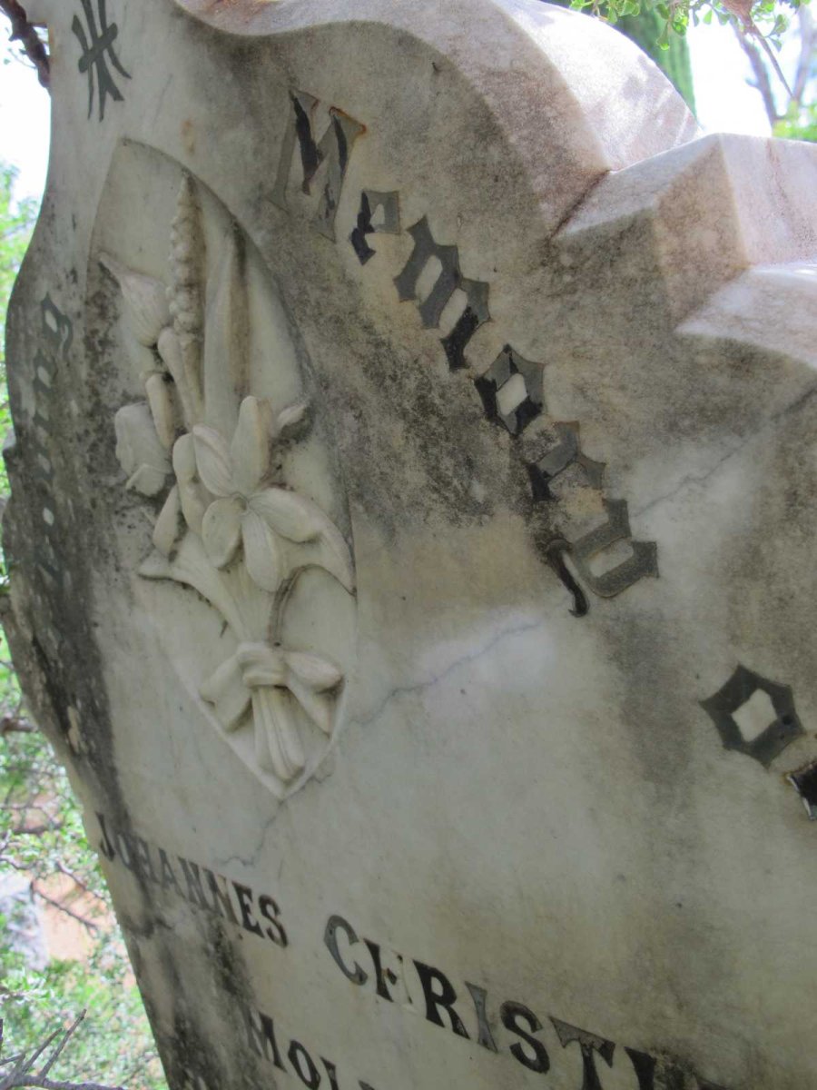 ? Johannes Christi?
