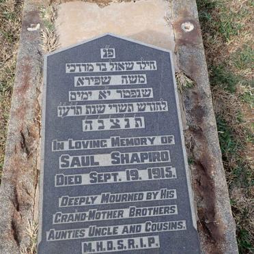 SHAPIRO Saul -1915