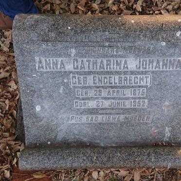 ? Anna Catharina Johanna nee ENGELBRECHT 1875-1952