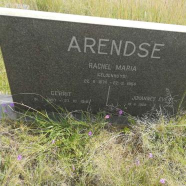 ARENDSE Rachel Maria nee GELDENHUYS 1874-1954 :: ARENDSE Gerrit 1897-1918 :: ARENDSE Johannes Evert 190?-1949