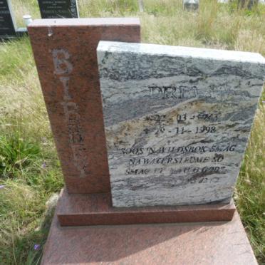 BIBBEY Adriaan 1943-1998