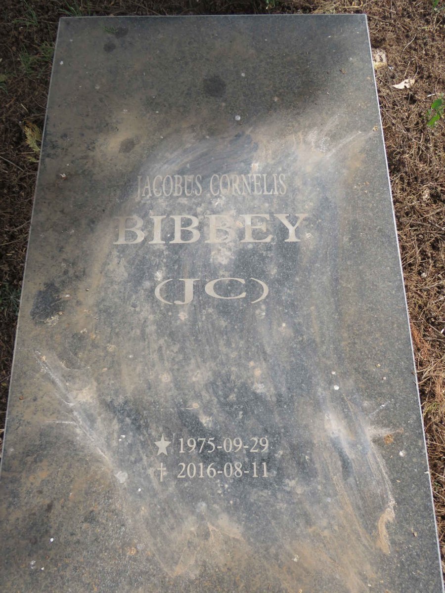 BIBBEY Jacobus Cornelis 1975-2016