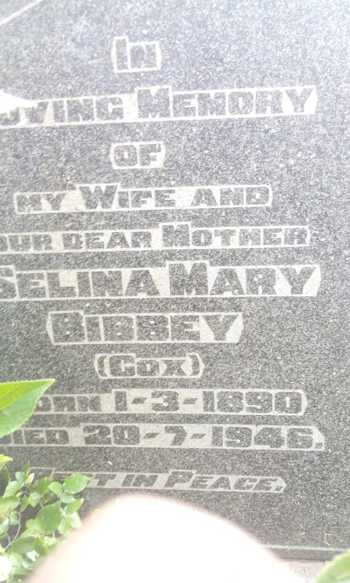 BIBBEY Selina Mary nee COX 1890-1946