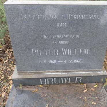BRUWER Pieter Willem 1945-1965