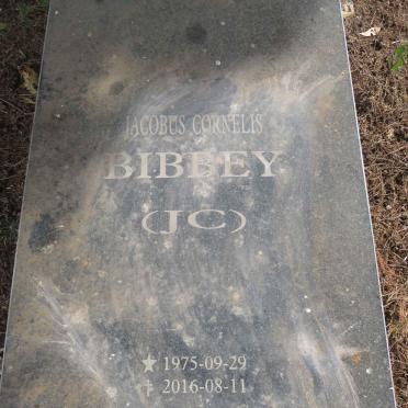 BIBBEY Jacobus Cornelis 1975-2016