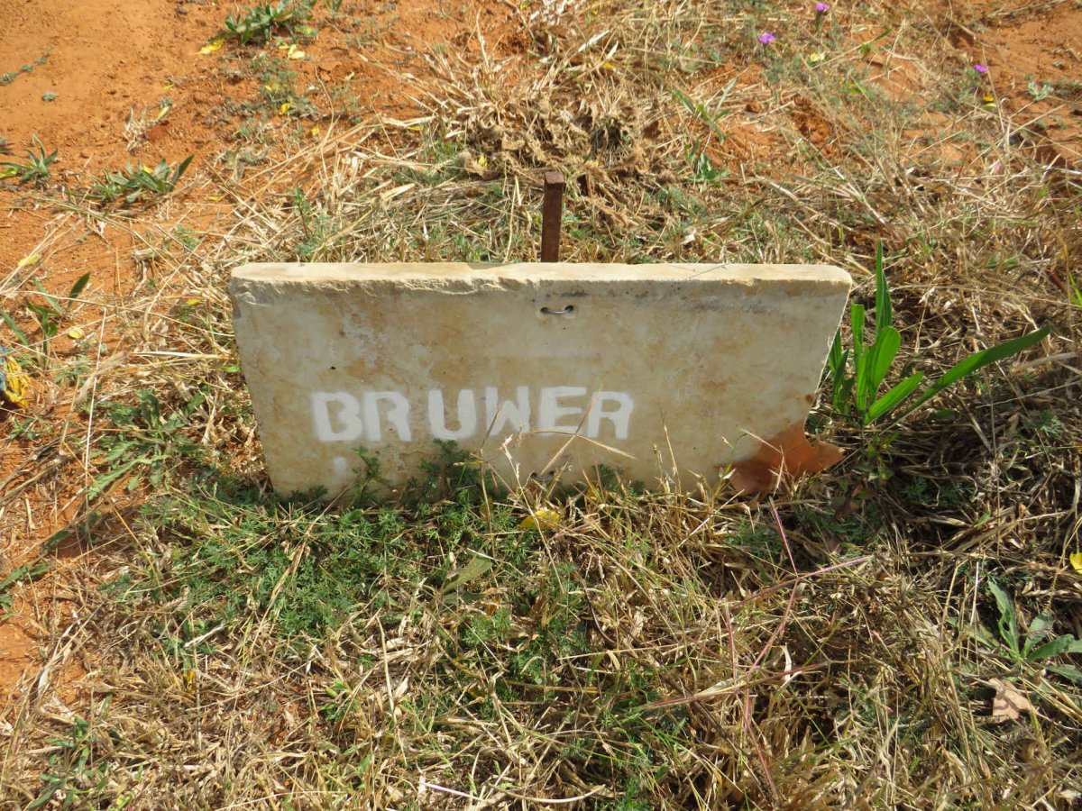 BRUWER