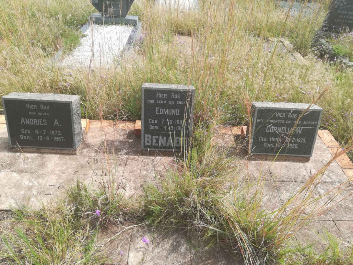 BENADE Andries A. 1873-1957 &amp; Cornelia W. HERN 1873-1956 :: BENADE Edmund 1899-1917