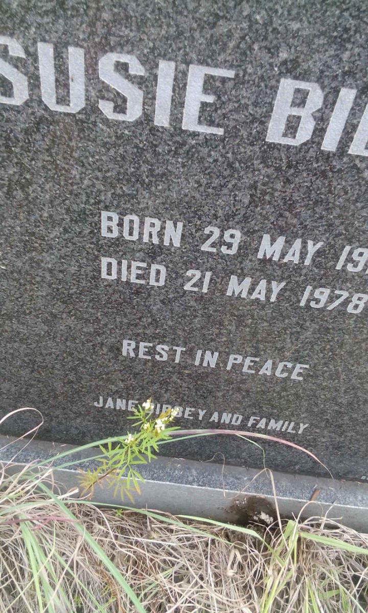 BI? Susie 19??-1978