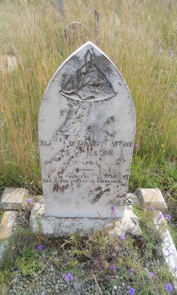 DOHNE Aletta Bernhardina 1886-1887
