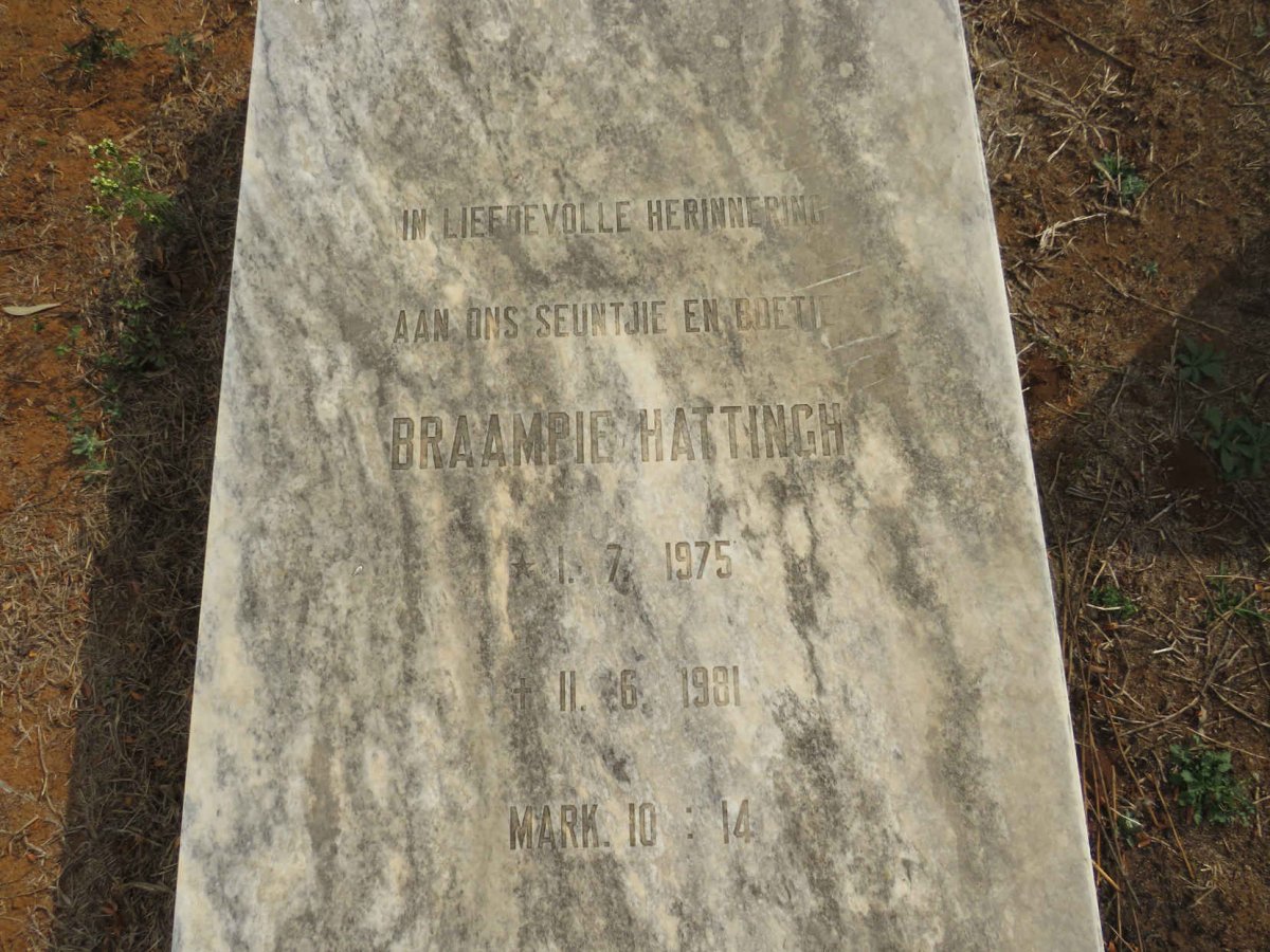 HATTINGH Braampie 1975-1981