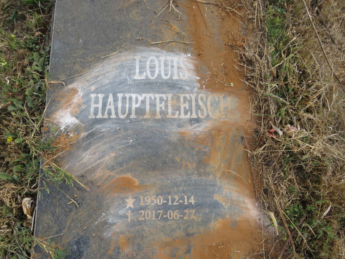 HAUPTFLEISCH Louis 1950-2017